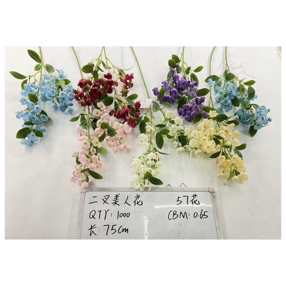 二叉美人花