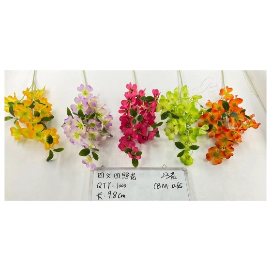 四叉四照花