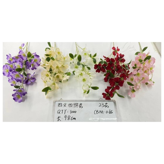 四叉四照花