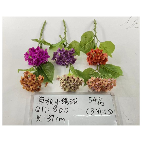 单枝小绣球