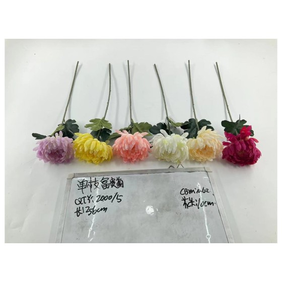 单枝富菊