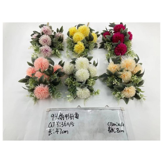9头扇形针菊