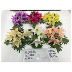 6花了配