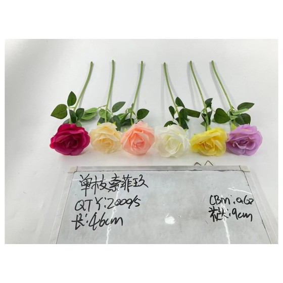 单枝索菲玫