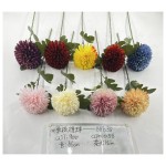 中单枝绣球 886-09