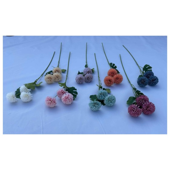 单支3头球菊