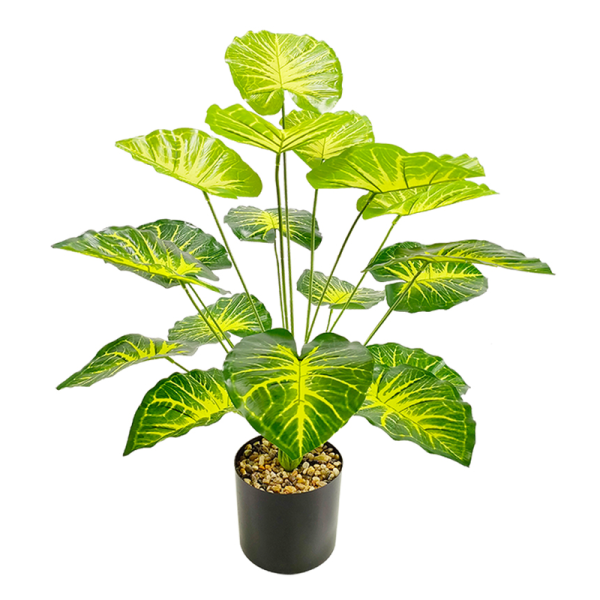 Artificial Light Green Alocasia Plant