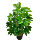 Arbol del dinero artificial sin fruta
