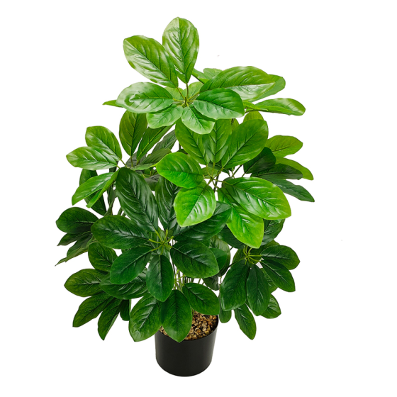 Arbol del dinero artificial sin fruta