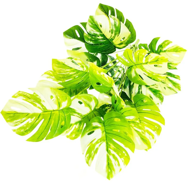 24叶加大白锦龟背