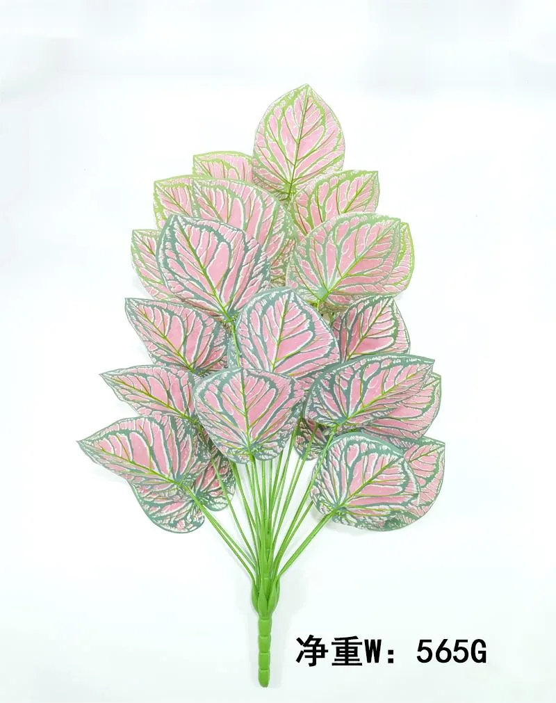 24叶加大粉水晶花烛